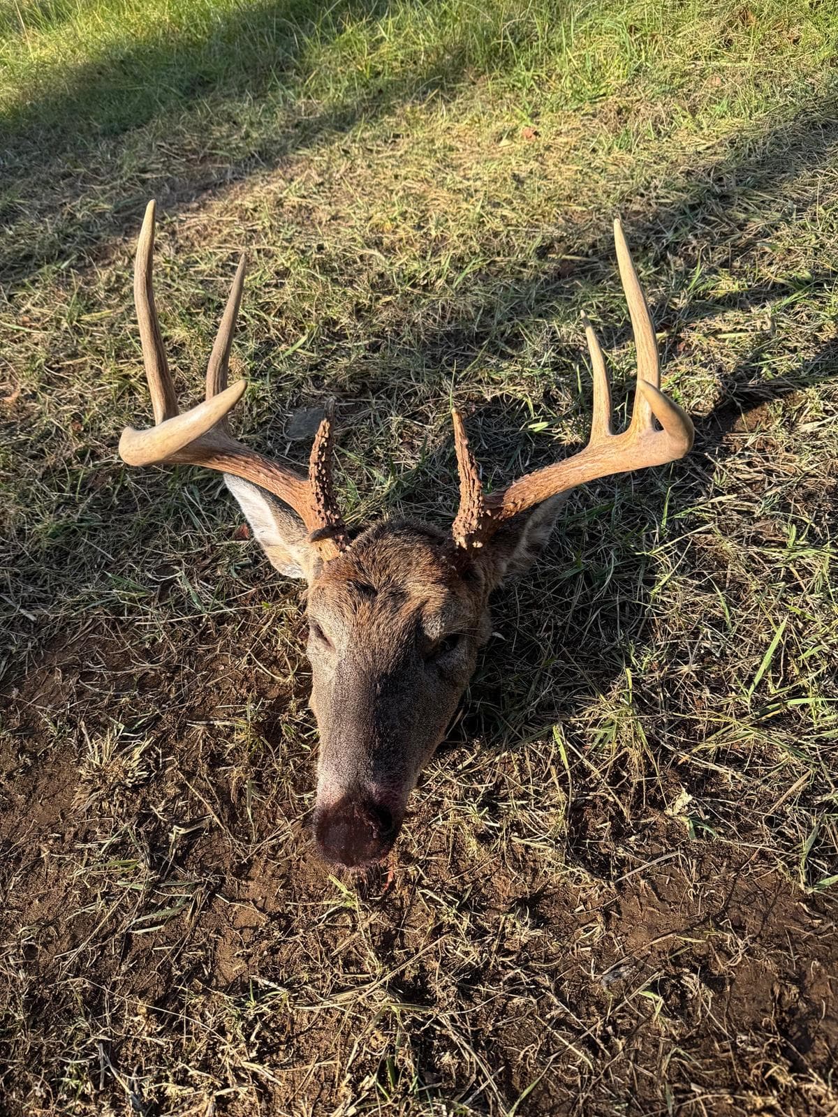 Ketoctin Hunting - Photo 1