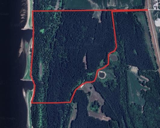 170 Acre Monroe County Hunting Lease  - Photo 1