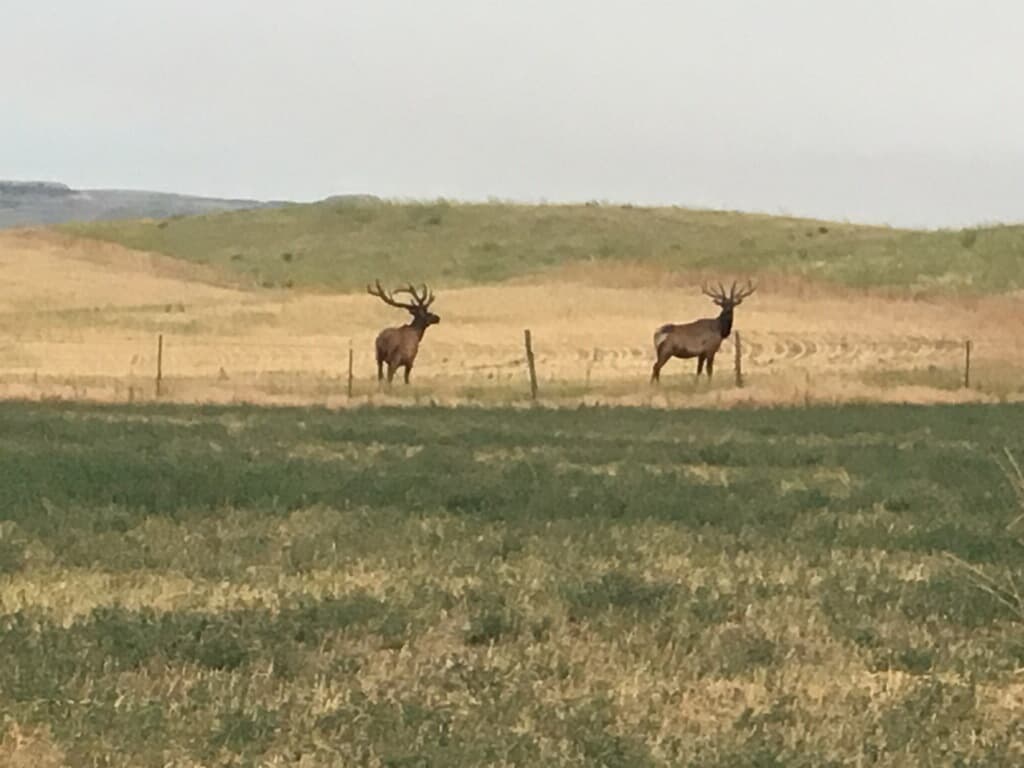 3,600 Acres in Garfield County, Mt  - Hunt unit 700 - Photo 1