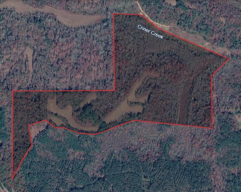 118 Acre Chester County Hunting Lease  - Photo 1