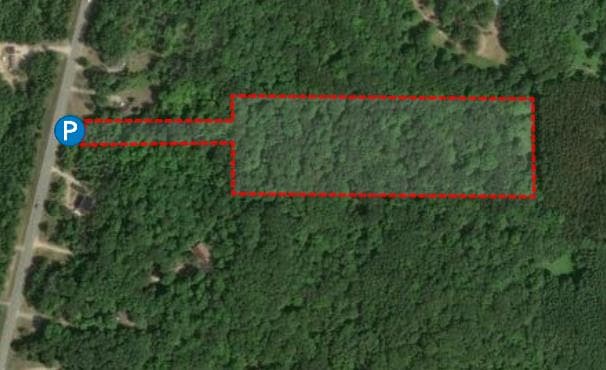 13 Acre Wexford County Hunting Lease  - Photo 1