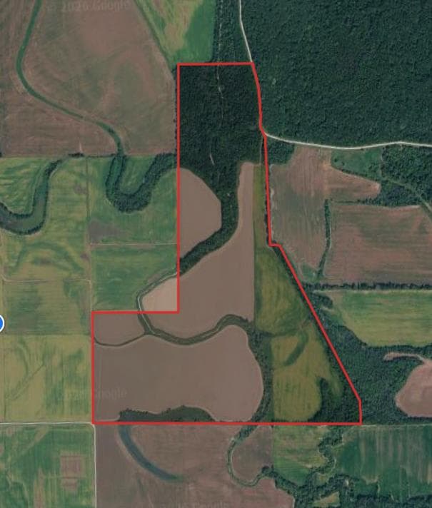 258 Acre Macon County Hunting Lease  - Photo 1