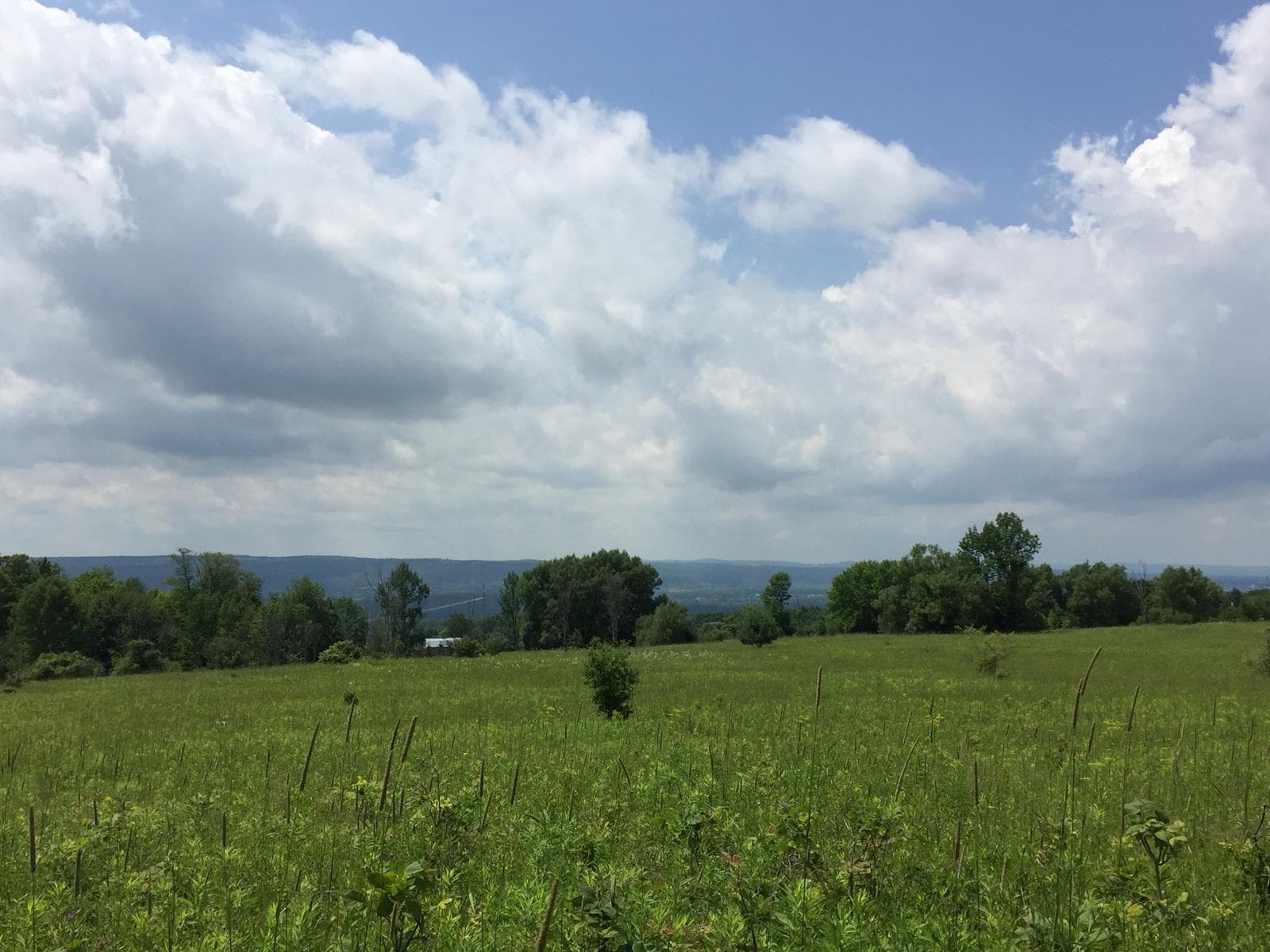 Katz Mountain - Photo 1