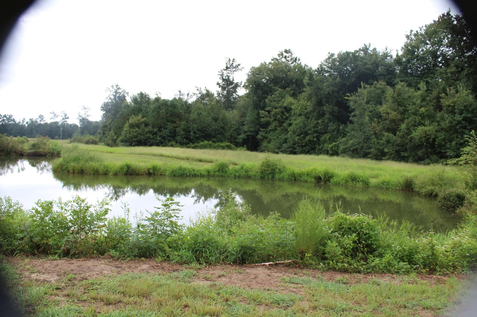 Oak Hill Wildlife Preserve - Fishing * - Photo 1