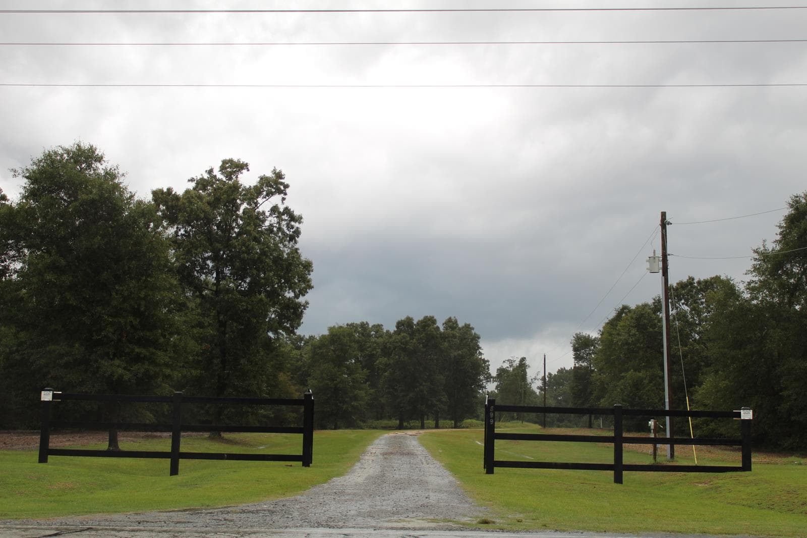 Oak Hill Wildlife Preserve - Bird Hunt * - Photo 1