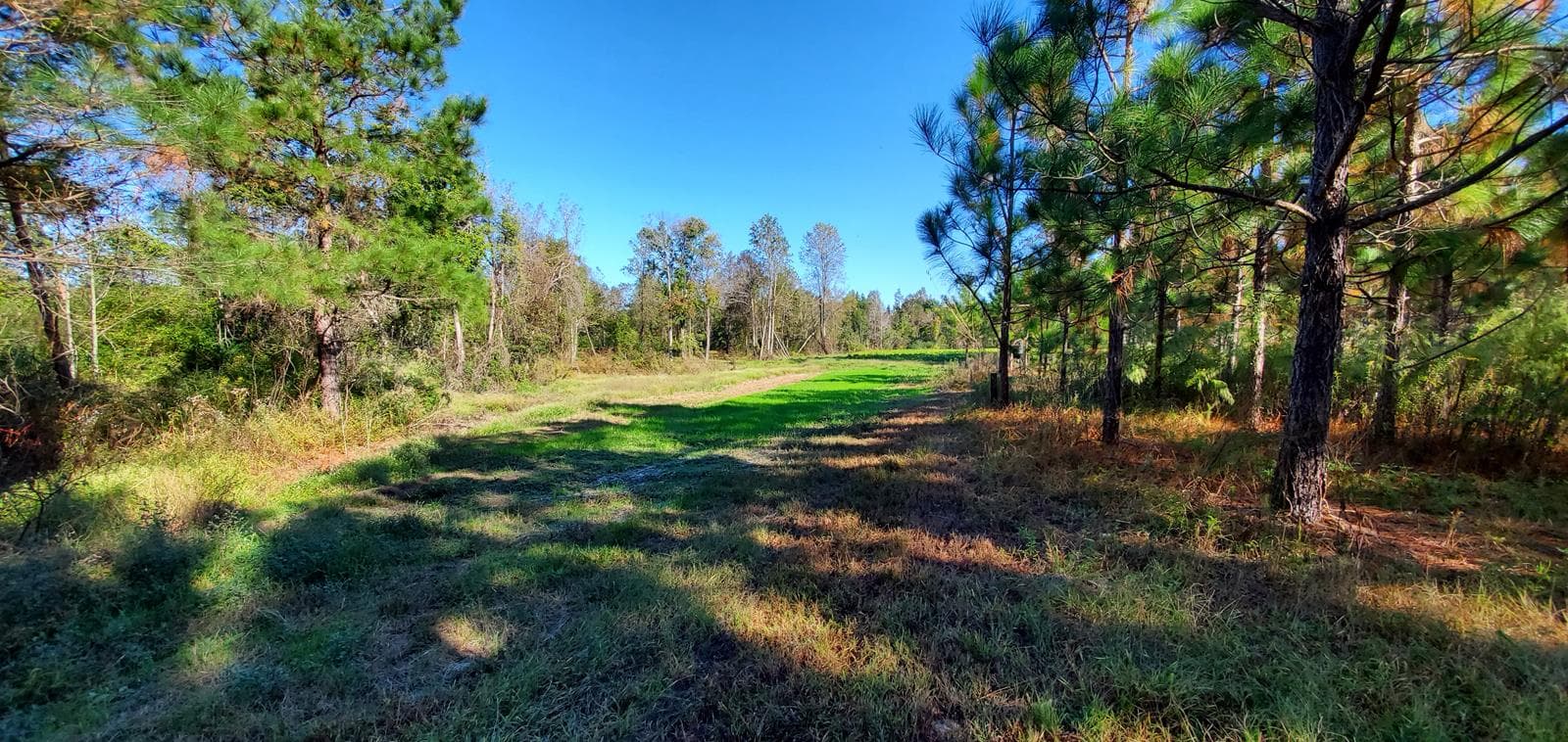 Lee Tree Farm Fishing, Camping, and Target Shooting - Photo 1