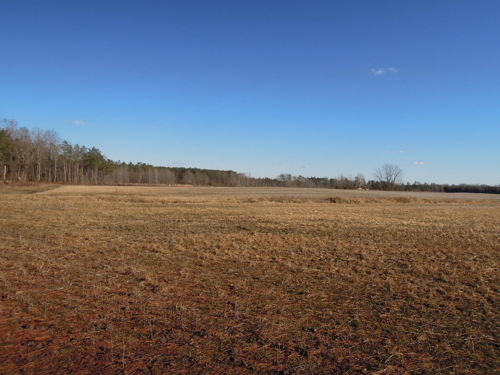 SYKES FARM - Predator Hunting - Photo 1
