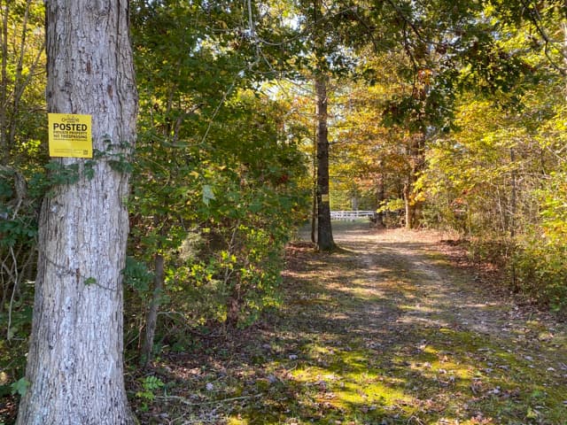 Pinewood Archery - Photo 1
