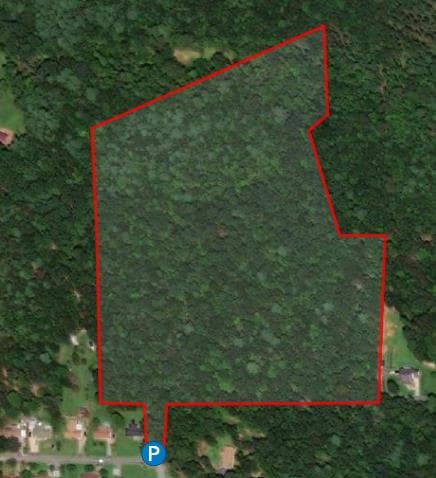Hickory Acres - Photo 1