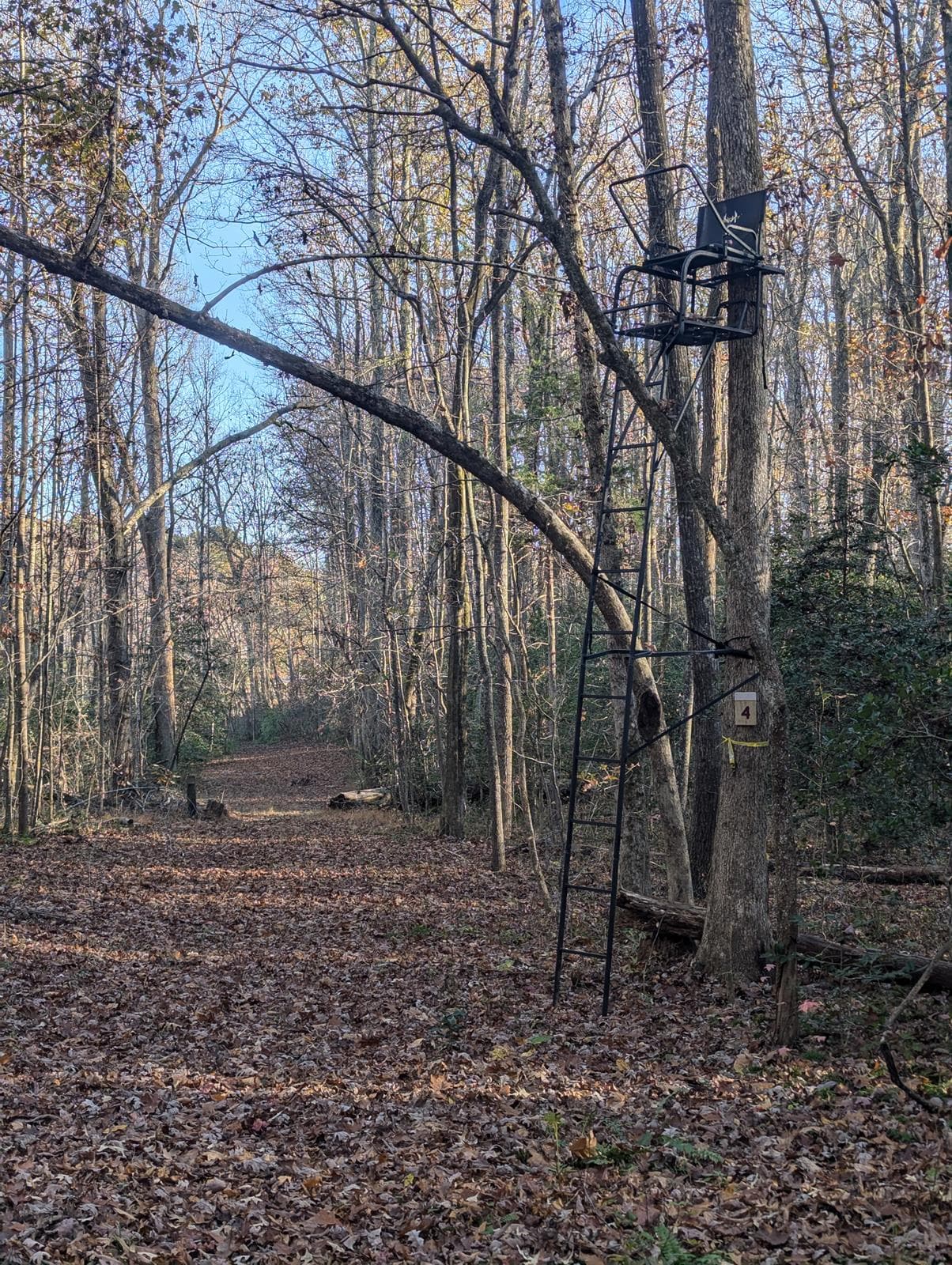 Bow Hunting at Camp T. Brady Saunders - Photo 1
