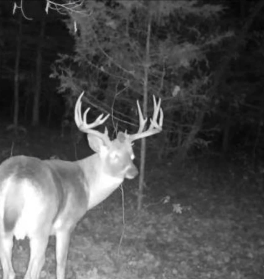 Lincoln County 110 - Photo 1