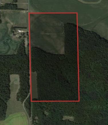 80 Acre Dunn County Archery Hunting Lease - Photo 1
