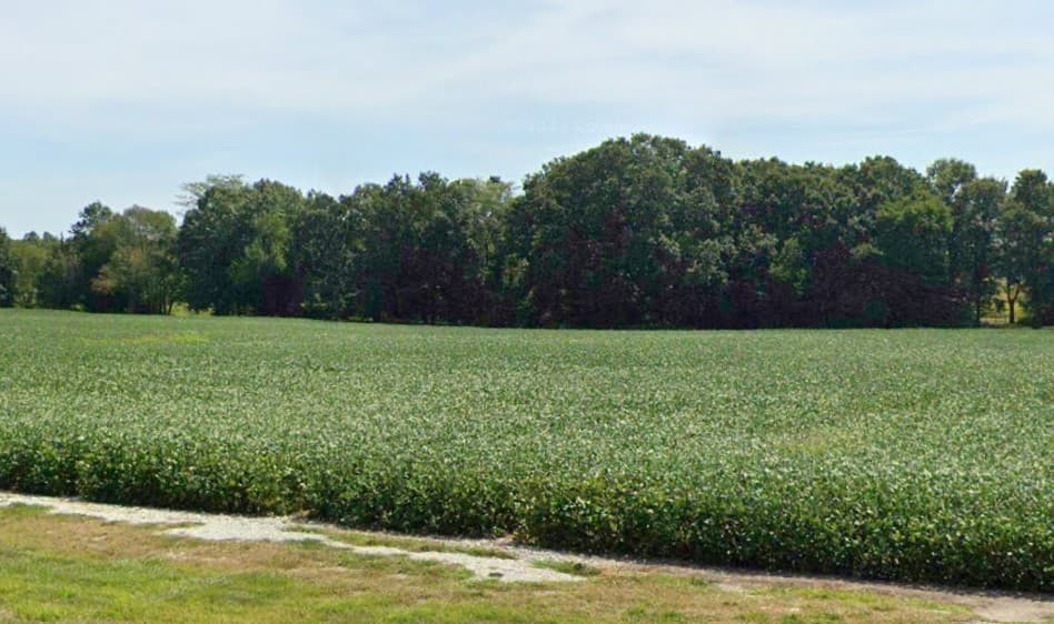 133 Acre Hancock County Hunting Lease - Photo 1