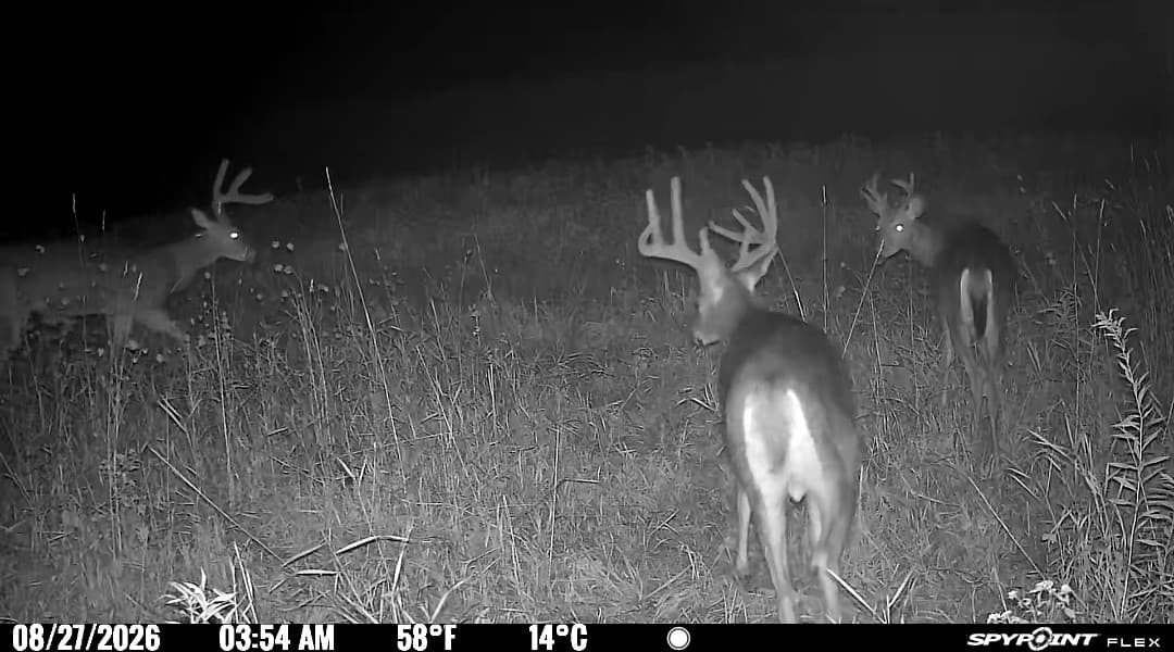 180 Acre Allamakee County Archery Hunting Lease(Zone 9) - Photo 1