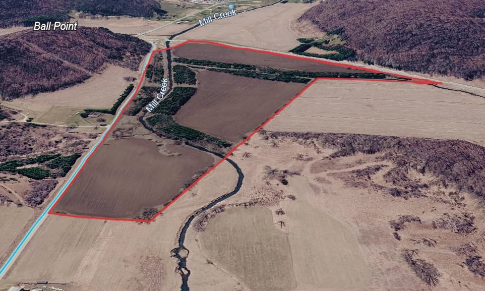 88 Acre Richland County Hunting Lease - Photo 1