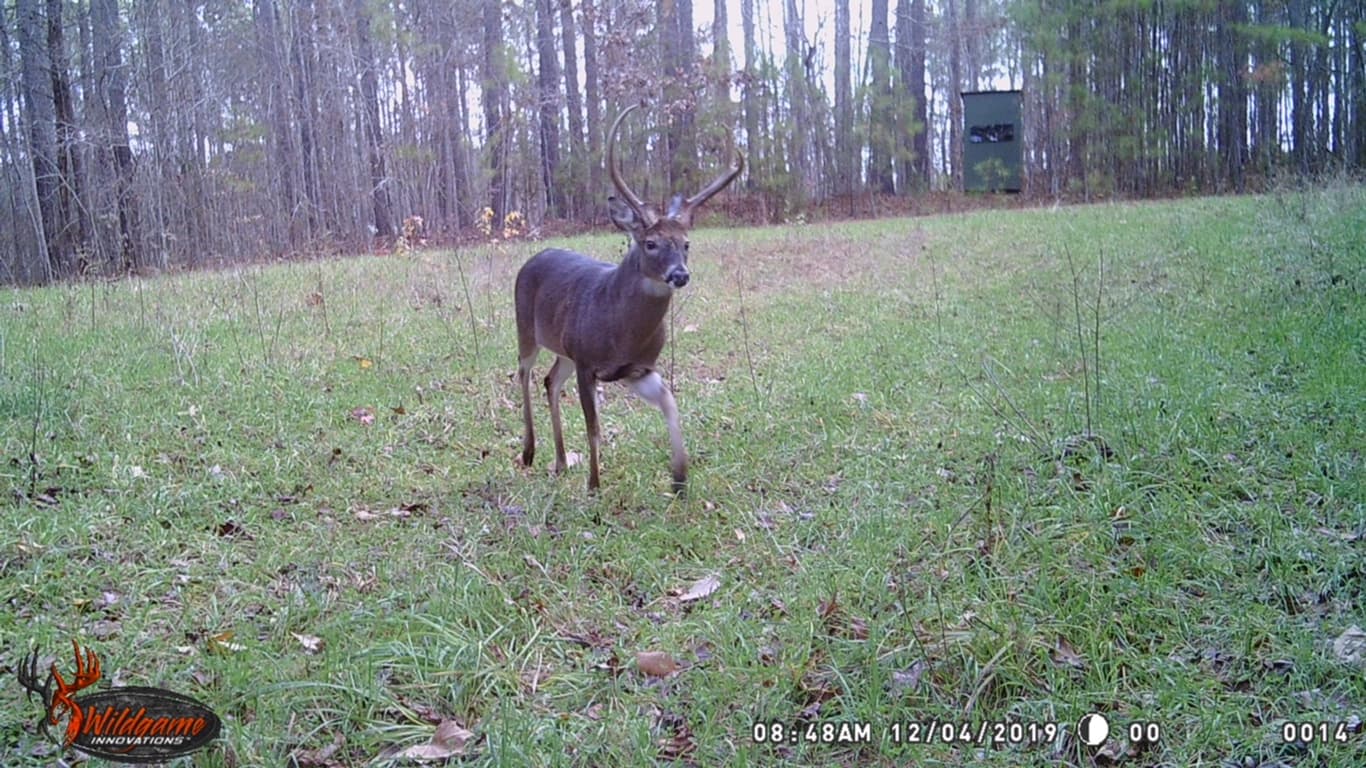 Pine View Farm - Photo 1