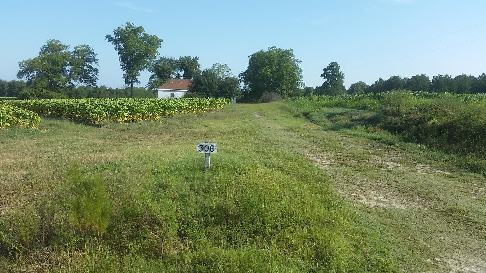 Bailey Farm - Photo 1