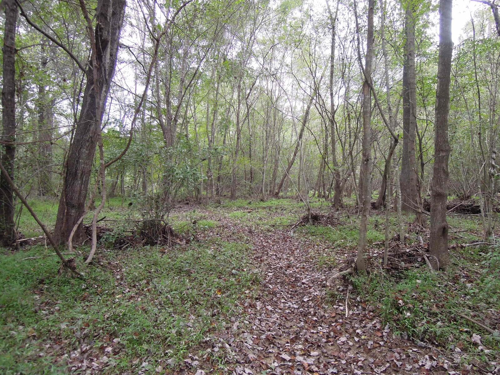 Walters Acres - Photo 1
